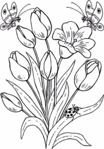 10.Gambar Mewarnai Bunga Tulip